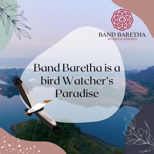 Band Baretha, India